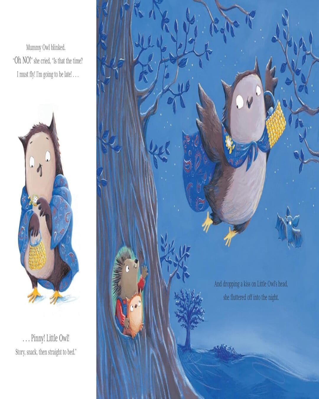 Little Owls Babysitter by Debi Gliori, Alison Brown (Illustrator) [Paperback] - versoz.com