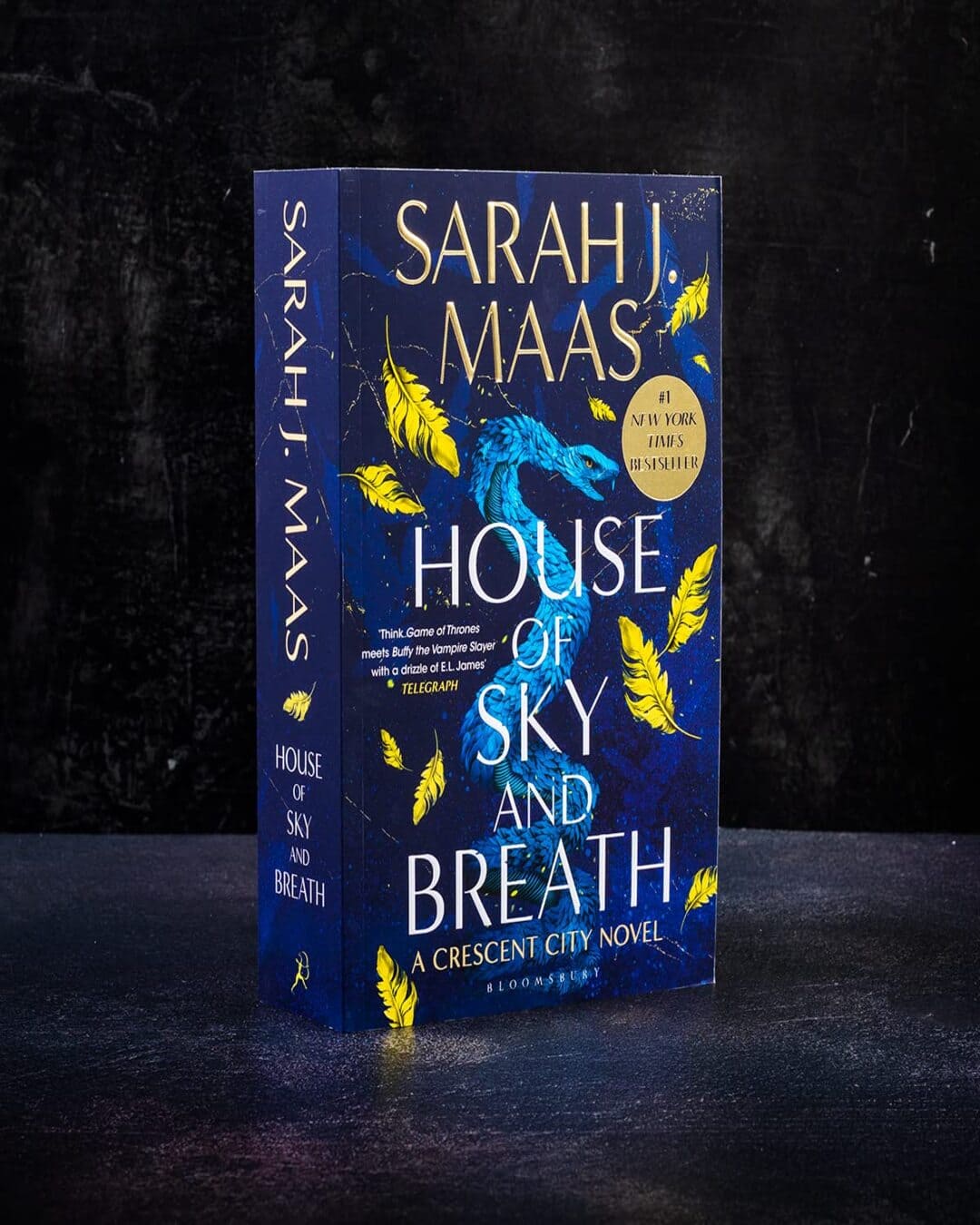 House Of Sky And Breath by Sarah J. Maas [Paperback] - versoz.com