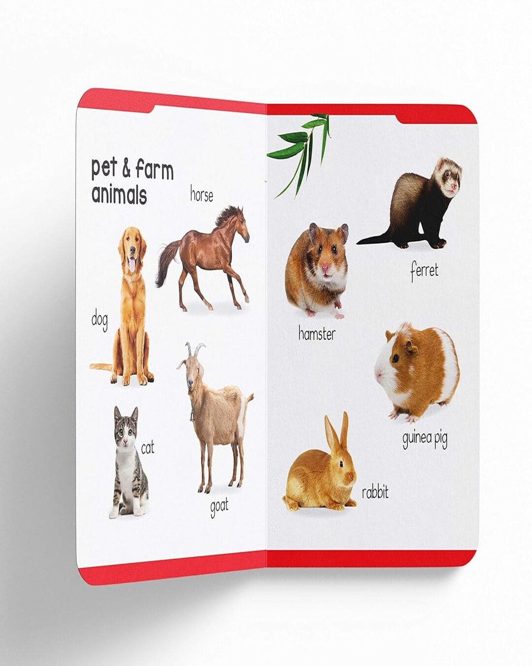 Early Learning Padded Book of Animals : Padded Board Books For Children by Wonder House Books [Board book ]