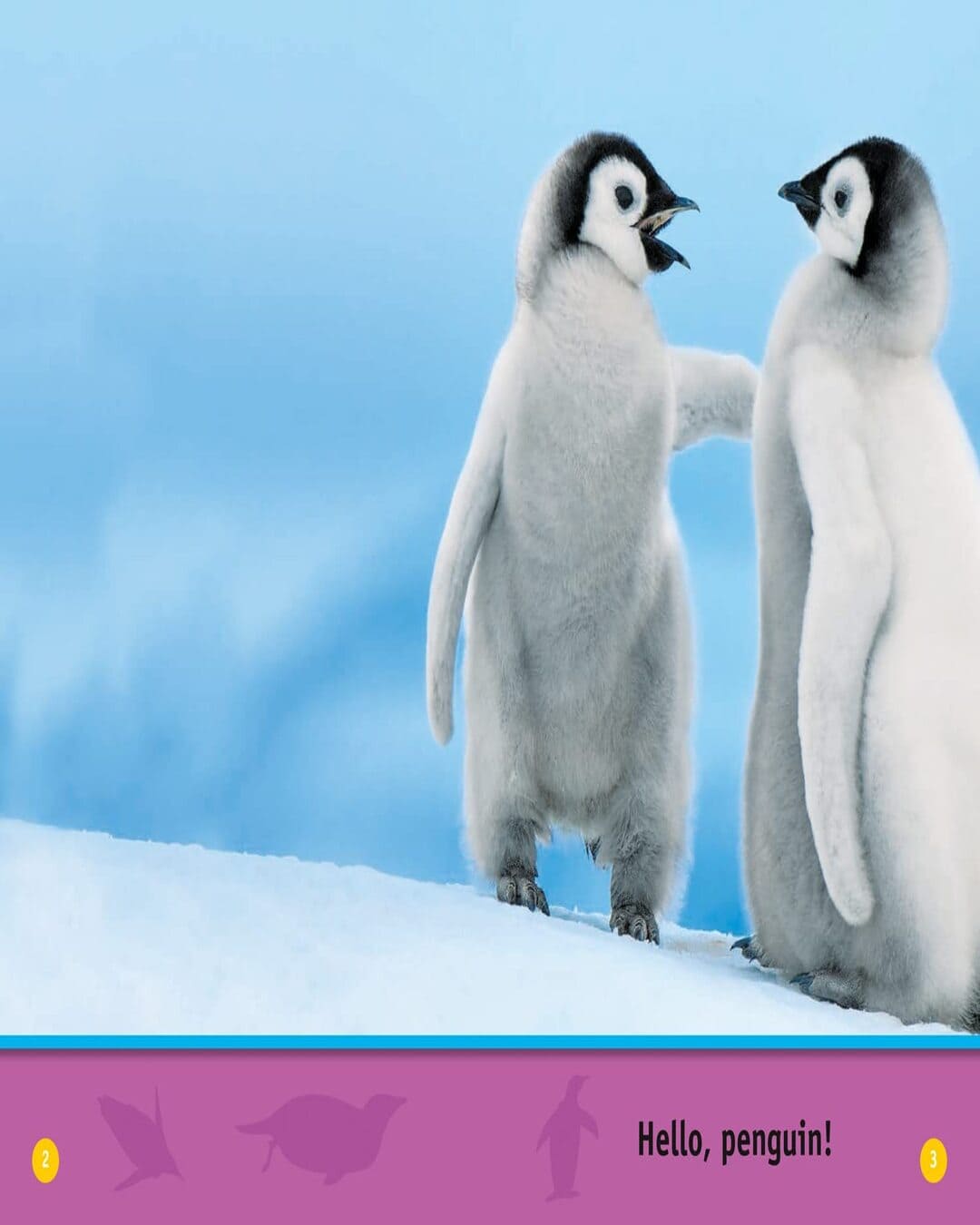 NG Readers â€” HELLO, PENGUIN!: Level 1 [Paperback] - versoz.com