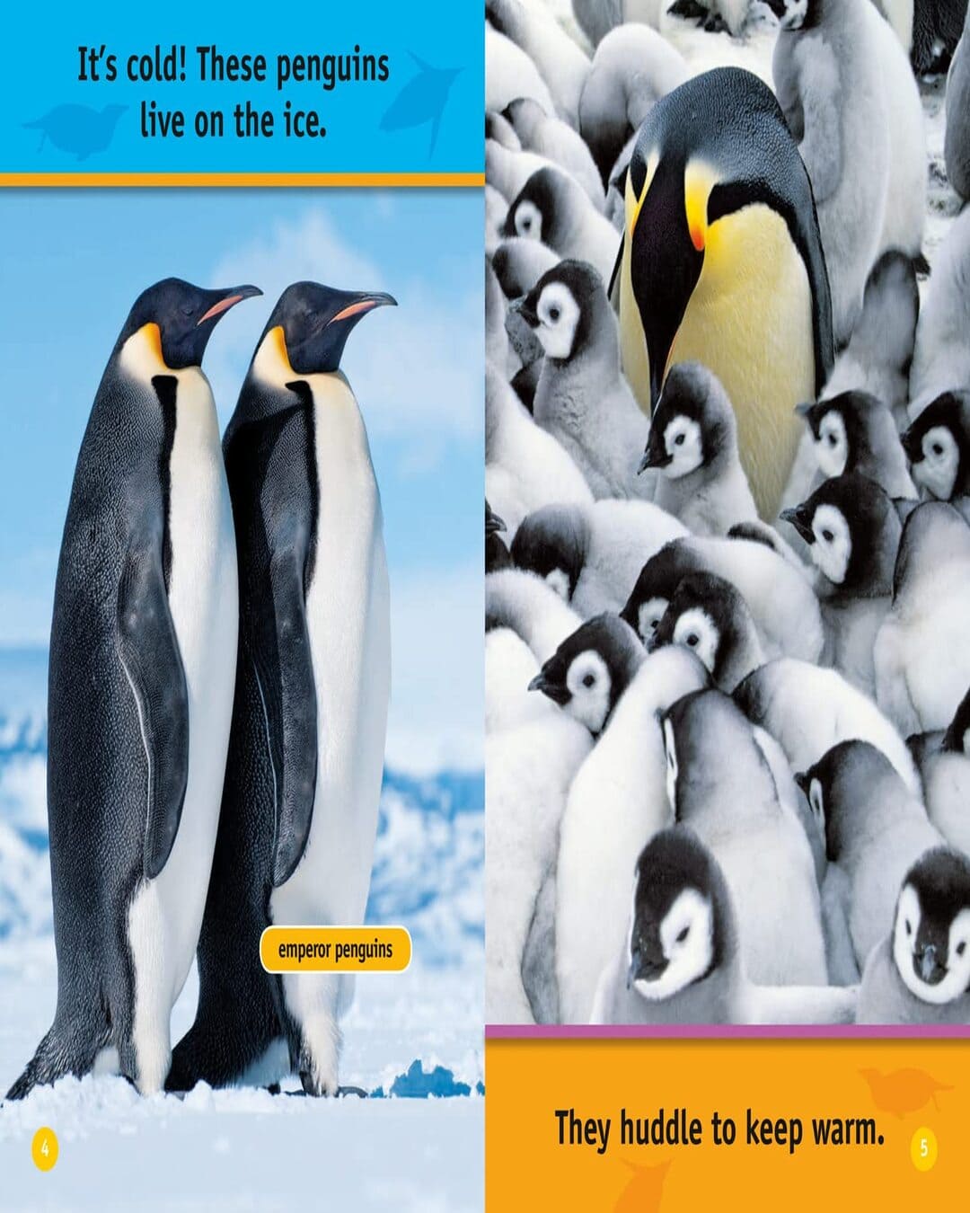 NG Readers â€” HELLO, PENGUIN!: Level 1 [Paperback] - versoz.com