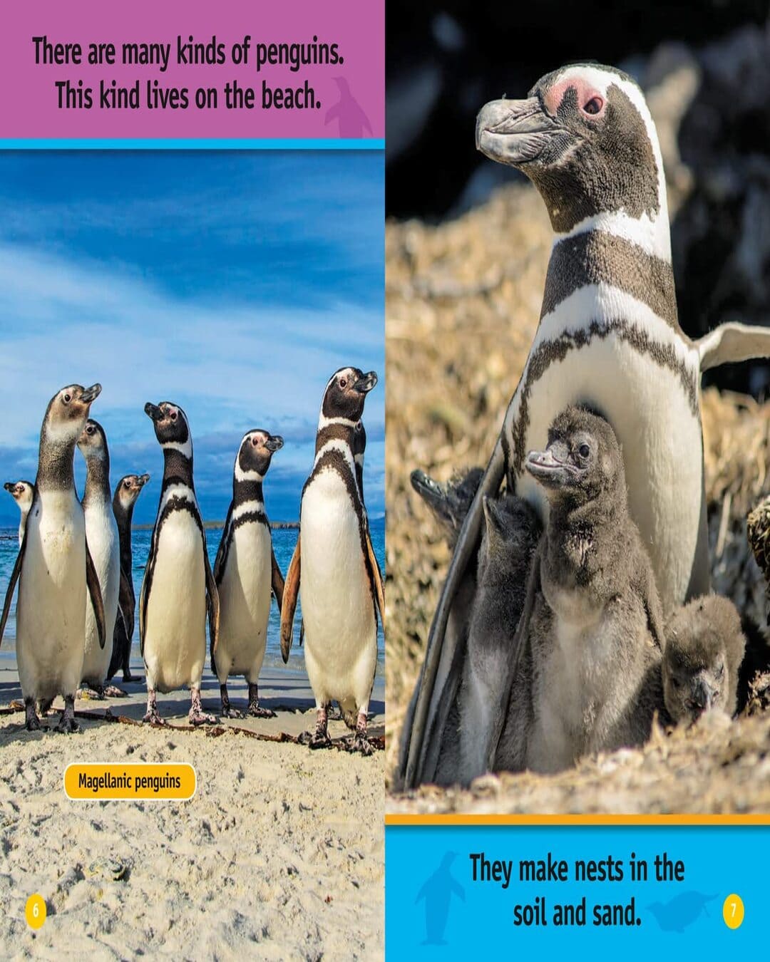 NG Readers â€” HELLO, PENGUIN!: Level 1 [Paperback] - versoz.com