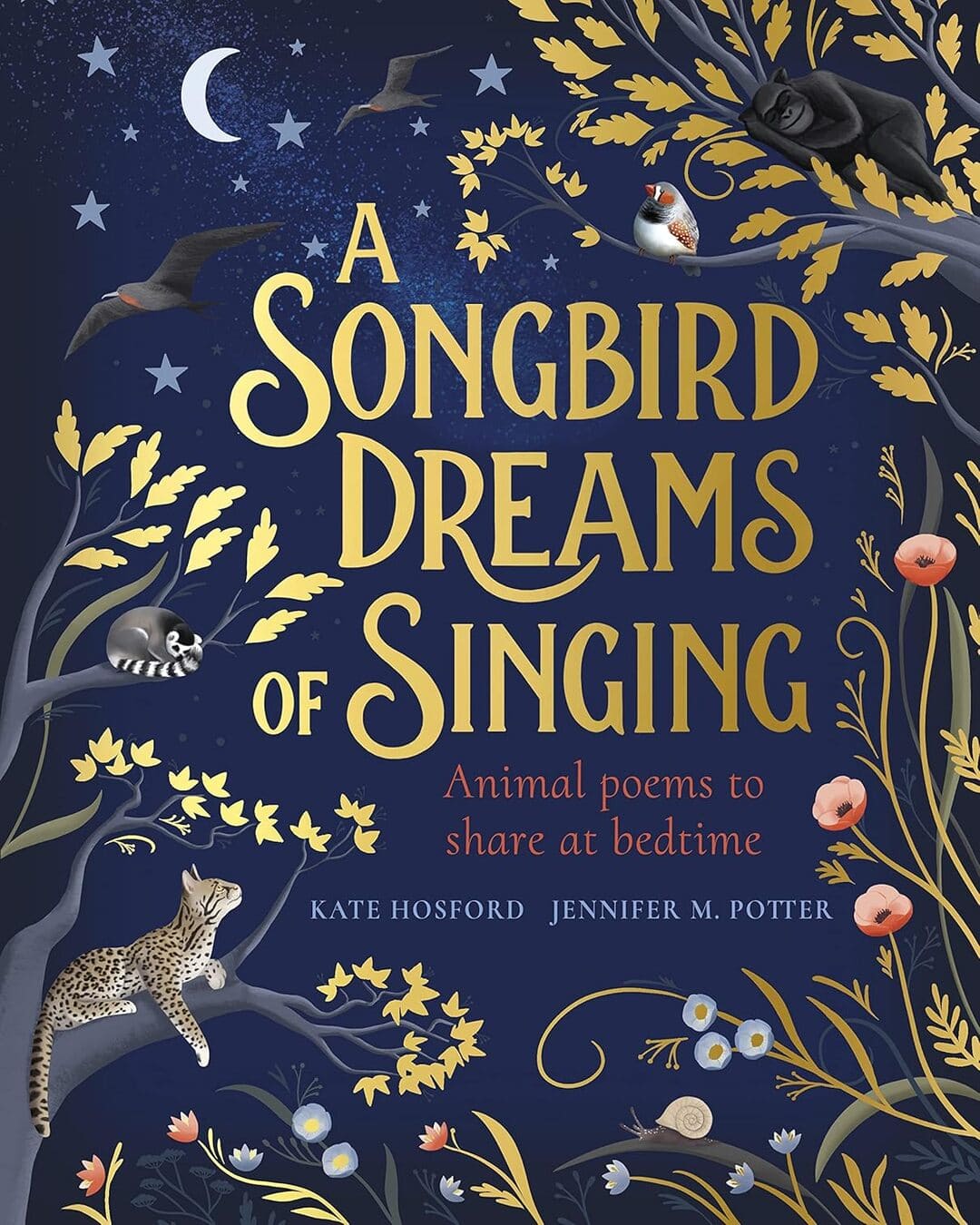 A Songbird Dreams Of Singing by Hosford, Kate [Paperback] - versoz.com
