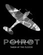 Taken at the Flood by Agatha Christie [Paperback]
