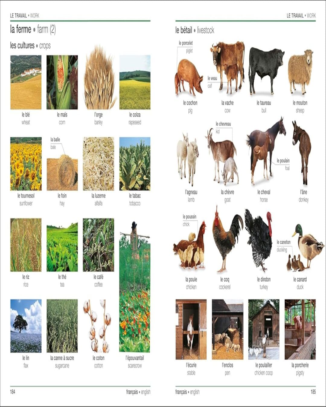 French English Bilingual Visual Dictionary by DK Publishing [Paperback] - versoz.com
