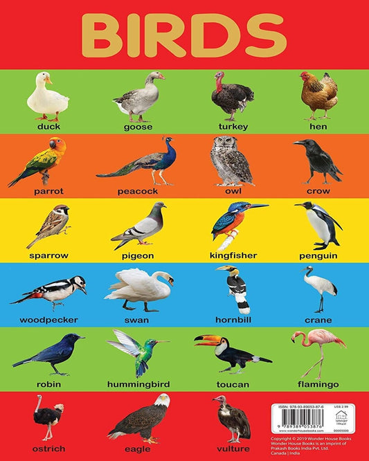 Birds Chart - Early Learning Educational Chart For Kids: Perfect For Homeschooling, Kindergarten and by Wonder House Books [Paperback]