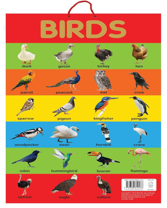 Birds - Early Learning Educational Posters For Children: Perfect For Kindergarten, Nursery and Homes by Wonder House Books [Paperback]