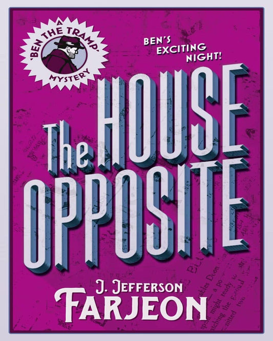 THE HOUSE OPPOSITE [Paperback]