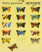 Kapurush by Shirshendu Mukhopadhyay [Hardcover] - versoz.com