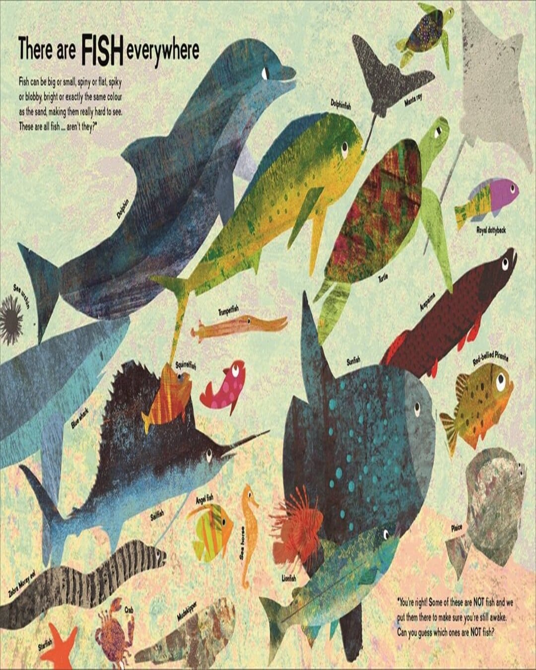 There Are Fish Everywhere by Britta Teckentrup [Hardcover] - versoz.com
