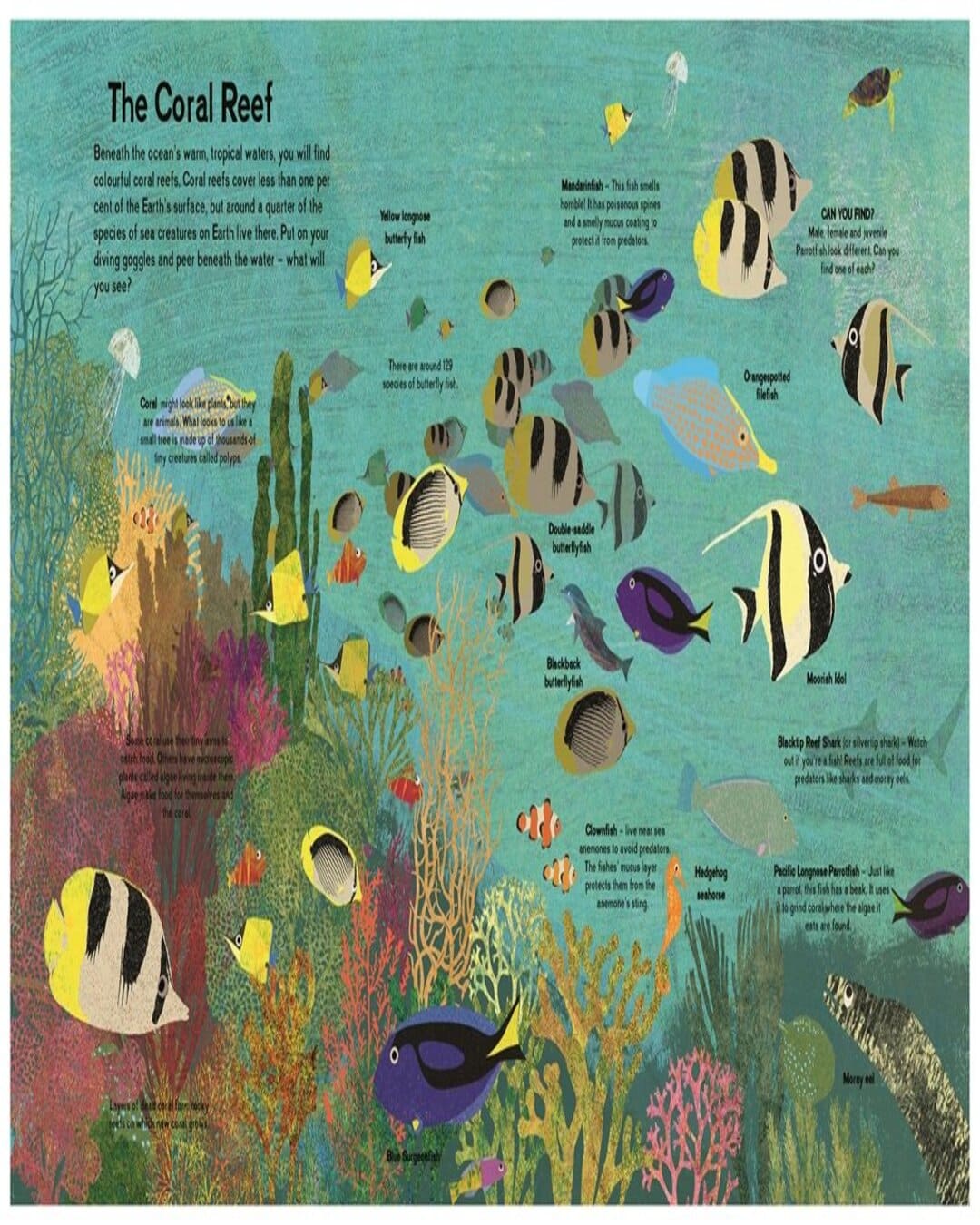 There Are Fish Everywhere by Britta Teckentrup [Hardcover] - versoz.com