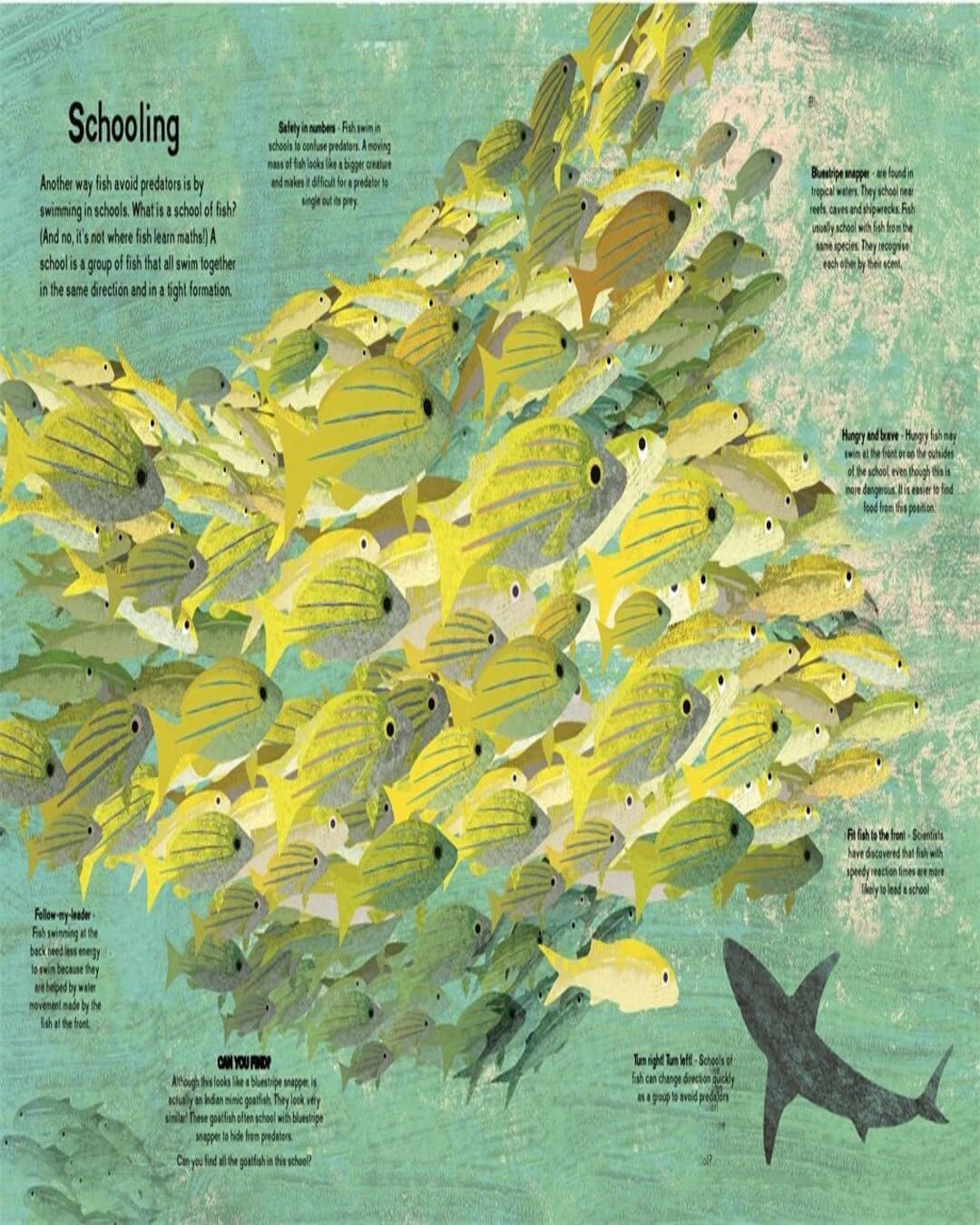 There Are Fish Everywhere by Britta Teckentrup [Hardcover] - versoz.com