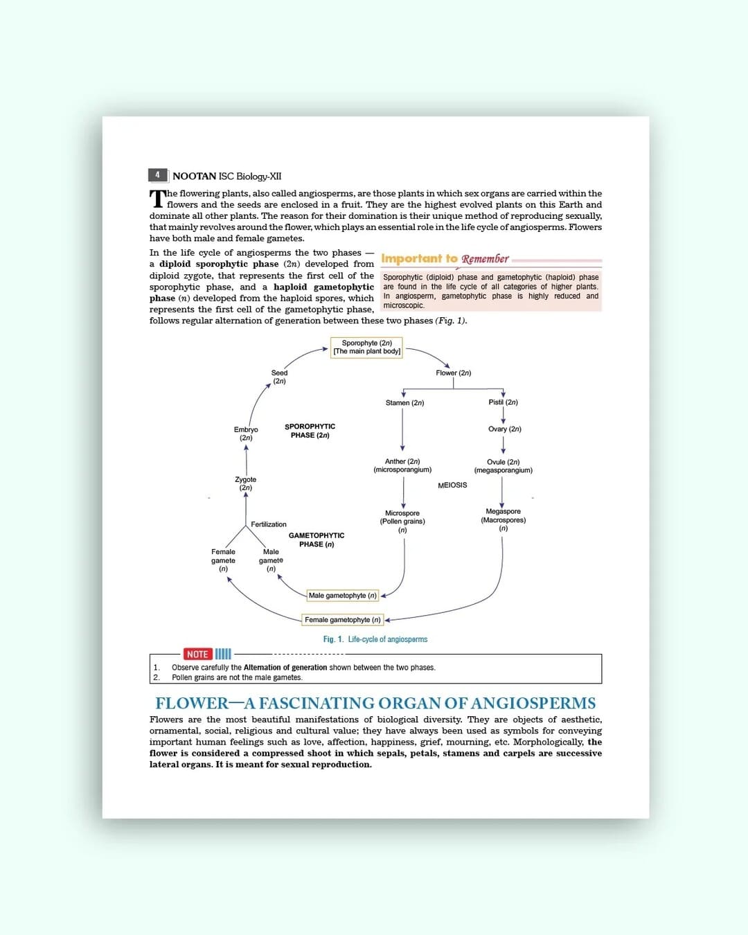 Nootan ISC Board Biology Textbook for Class 12th Academic Year 2026-27 By V.Singh, D.K Jain & Ajay Kumar Bhattacharya - Nageen Prakashan