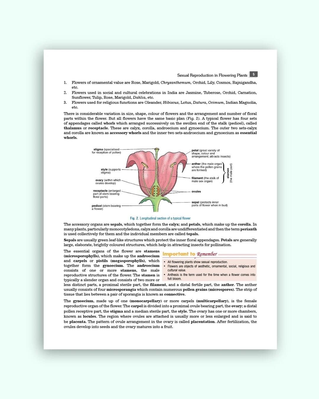 Nootan ISC Board Biology Textbook for Class 12th Academic Year 2026-27 By V.Singh, D.K Jain & Ajay Kumar Bhattacharya - Nageen Prakashan