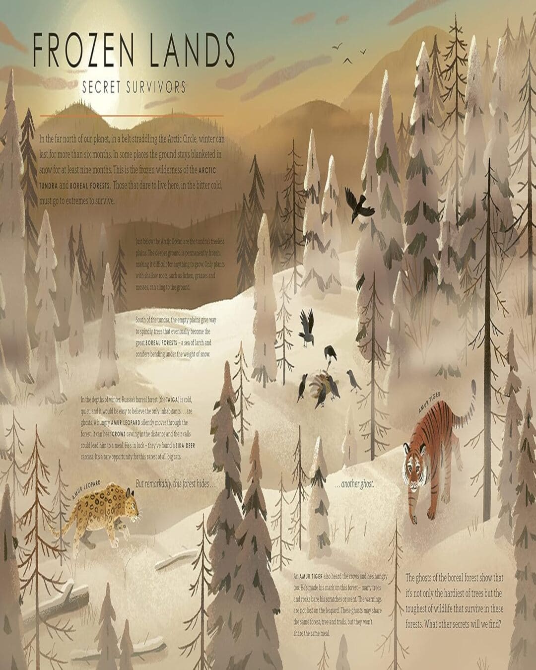 Frozen Planet Ii (For Young Wildlife-Lovers Inspired By David Attenboroughs Series) by Leisa Stewart-Sharpe [Hardcover] - versoz.com