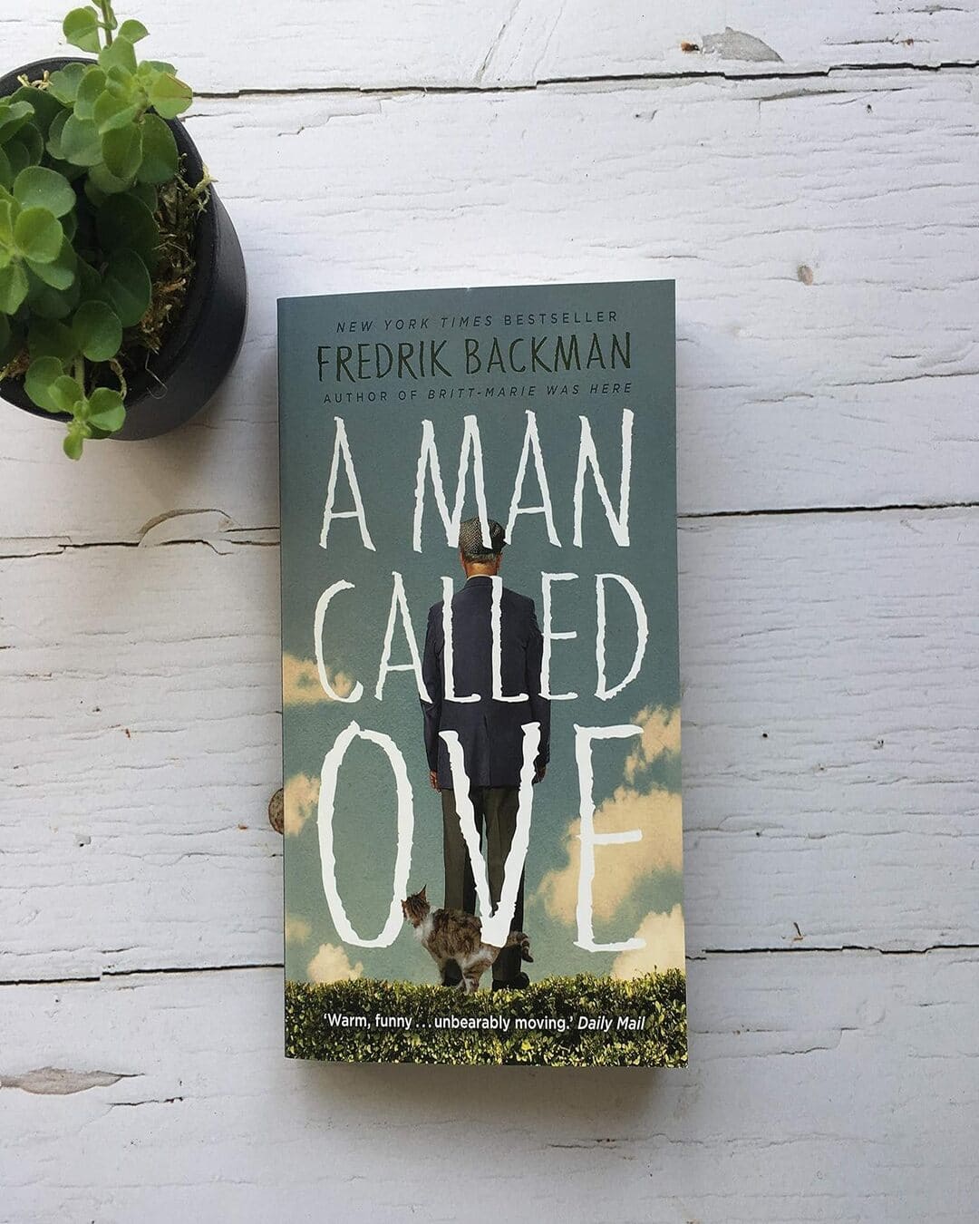 A Man Called Ove by Fredrik Backman [Paperback] - versoz.com