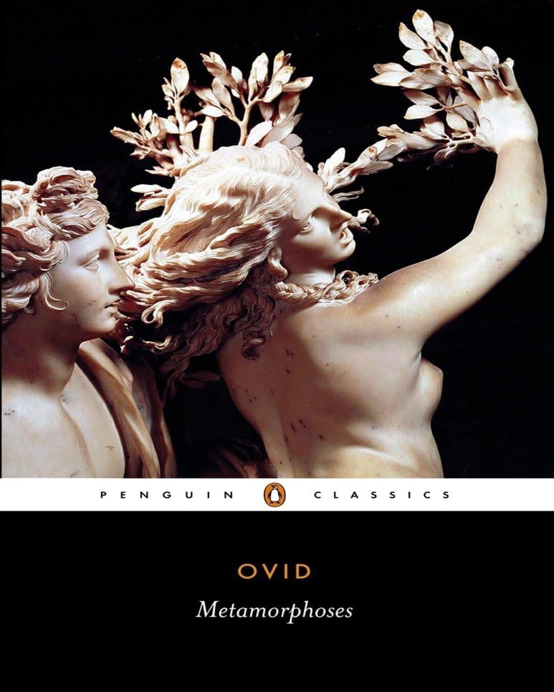 Metamorphoses by Ovid [Paperback] - versoz.com