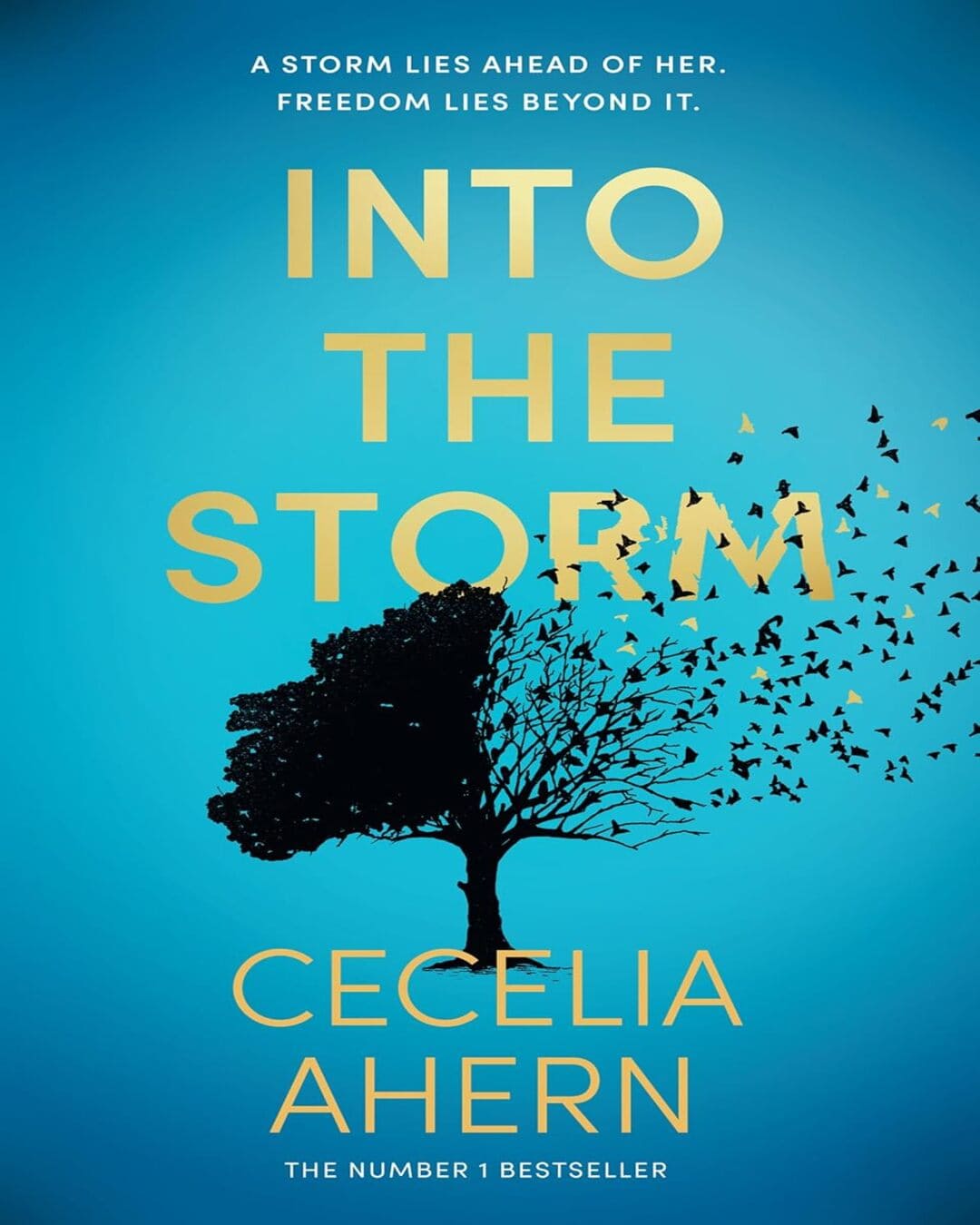 Into the Storm by Cecelia Ahern [Paperback] - versoz.com