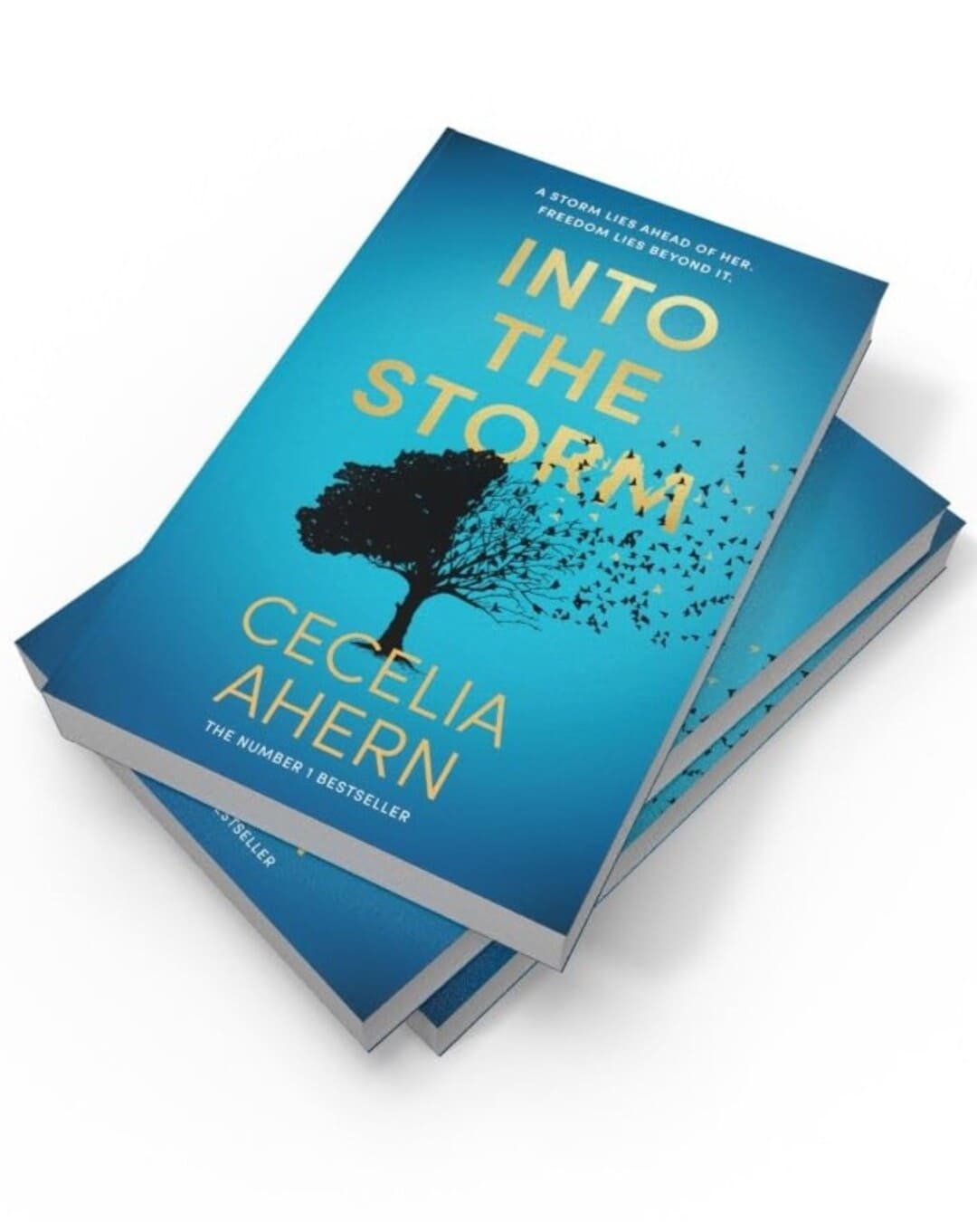 Into the Storm by Cecelia Ahern [Paperback] - versoz.com
