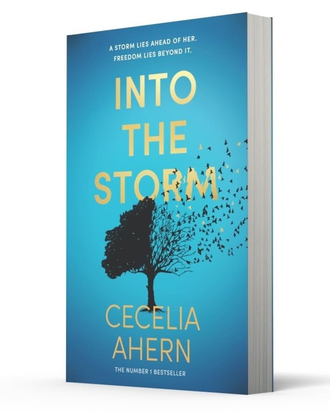 Into the Storm by Cecelia Ahern [Paperback] - versoz.com