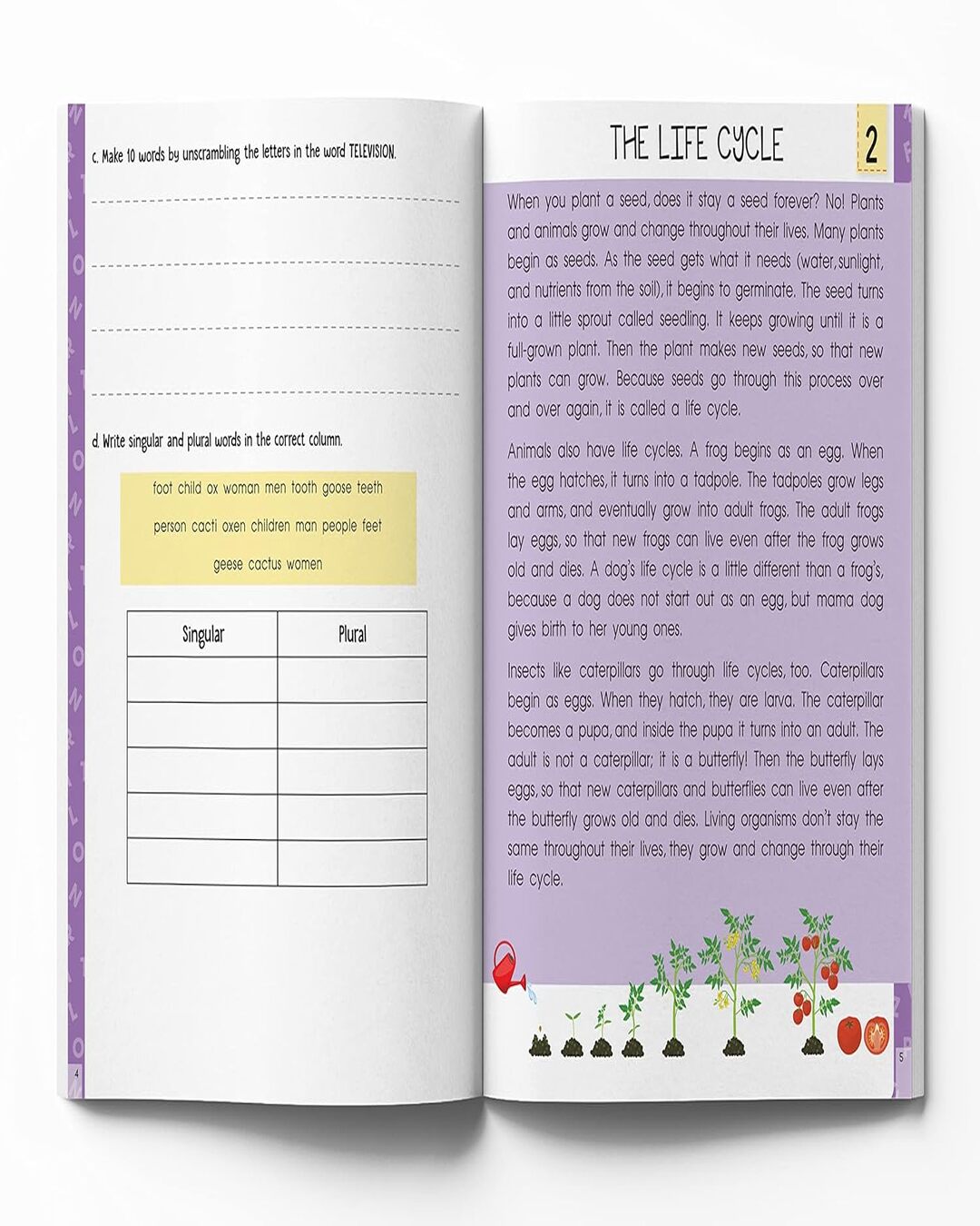 Super Fun Reading Comprehension - Activity Workbook For Children - Level 2 by Wonder House Books [Paperback]