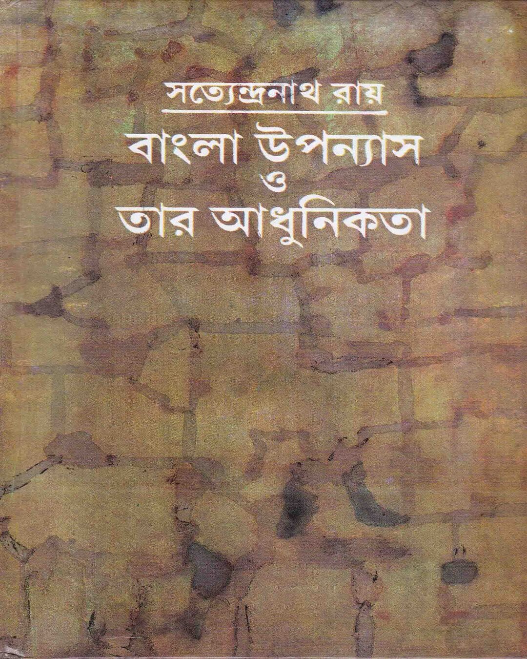 Bangla Upanyas O Tar Adhunikata by Satyendranath Roy [Hardcover]
