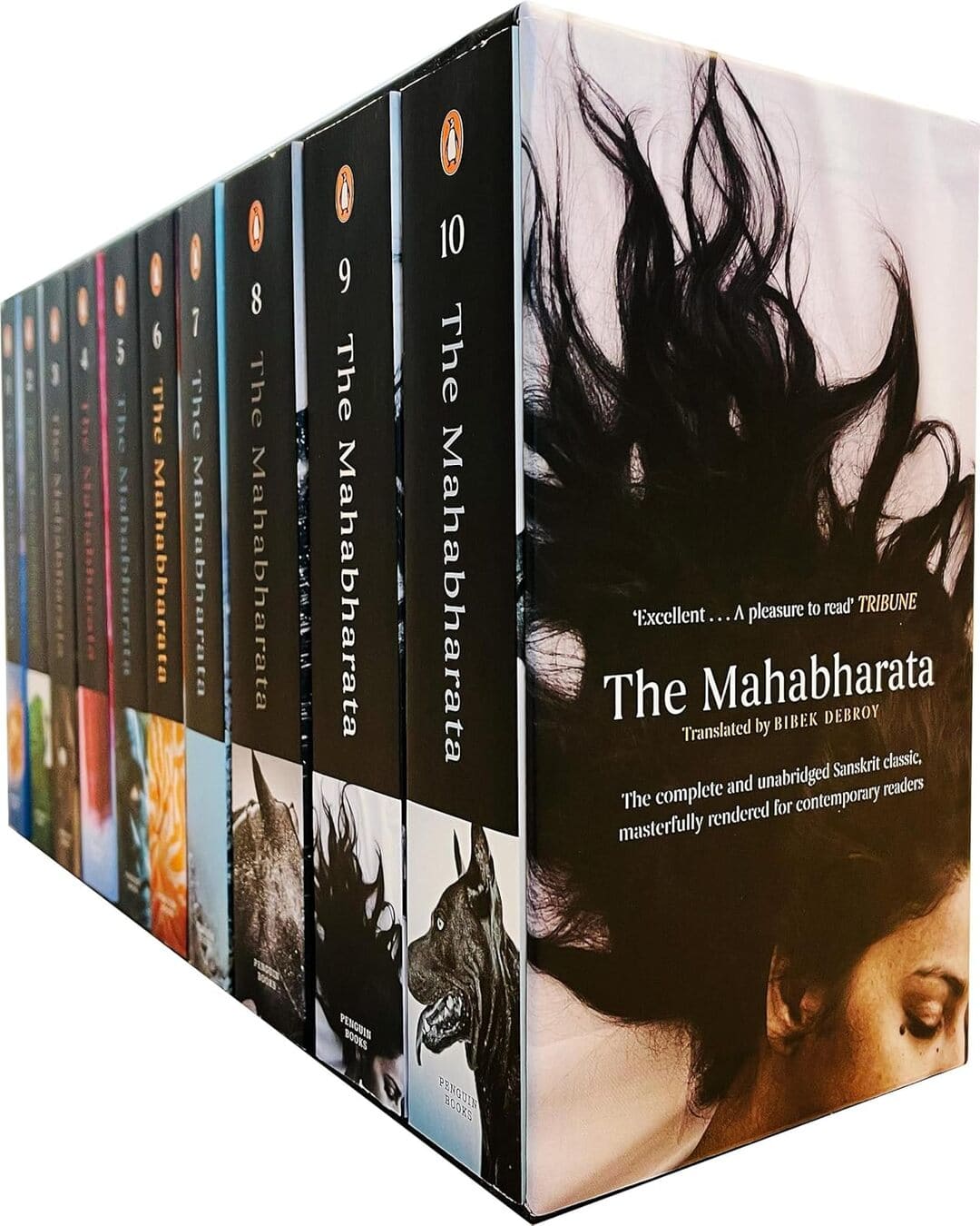The Mahabharata : A Set of 10 Contemporary Books by Bibek Debroy [Paperback Boxset] [Paperback] - versoz.com