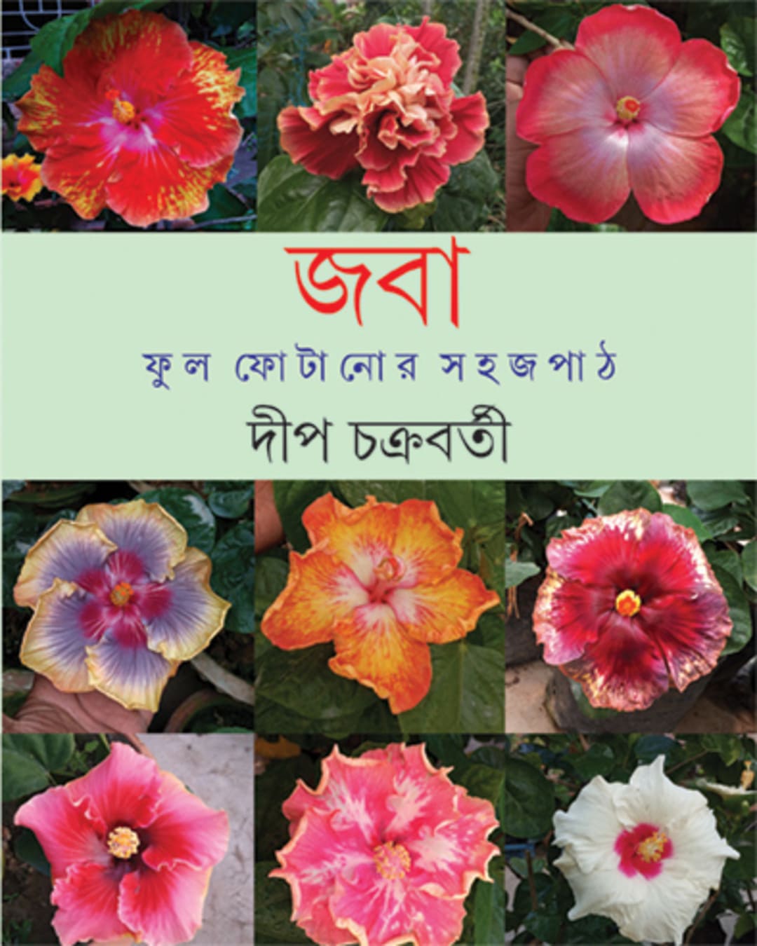 Jaba by Deep Chakraborty [Hardcover] - versoz.com